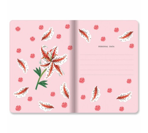 Тетради 40 л. в линию обложка SoftTouch, НАБОР 3 шт., бежевая бумага 70 г/м2, сшивка, А5 (147х210 мм), FLORA, BRAUBERG, 403798