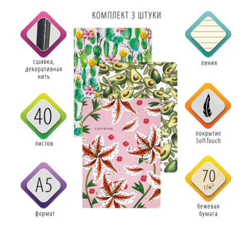 Тетради 40 л. в линию обложка SoftTouch, НАБОР 3 шт., бежевая бумага 70 г/м2, сшивка, А5 (147х210 мм), FLORA, BRAUBERG, 403798