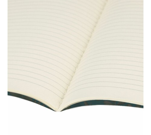 Тетради 40 л. в линию обложка SoftTouch, НАБОР 3 шт., бежевая бумага 70 г/м2, сшивка, А5 (147х210 мм), FLORA, BRAUBERG, 403798