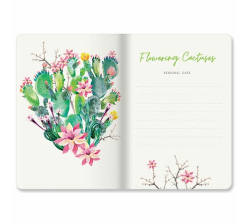 Тетради 40 л. в линию обложка SoftTouch, НАБОР 3 шт., бежевая бумага 70 г/м2, сшивка, А5 (147х210 мм), FLORA, BRAUBERG, 403798