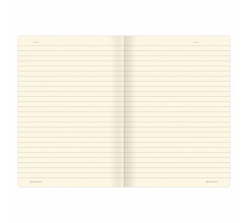 Тетради 40 л. в линию обложка SoftTouch, НАБОР 3 шт., бежевая бумага 70 г/м2, сшивка, А5 (147х210 мм), ПУТЕШЕСТВИЕ, BRAUBERG, 403799