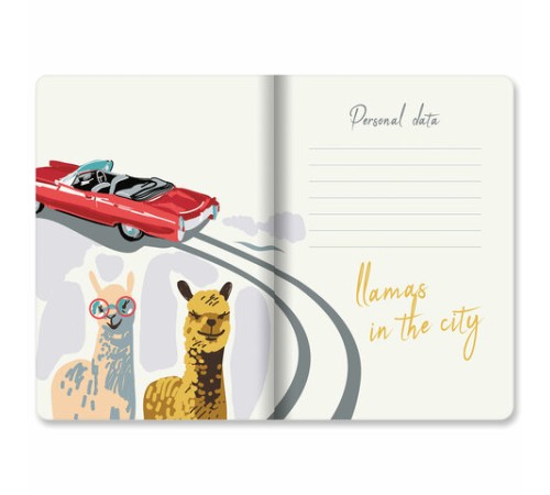 Тетради 40 л. в линию обложка SoftTouch, НАБОР 3 шт., бежевая бумага 70 г/м2, сшивка, А5 (147х210 мм), ПУТЕШЕСТВИЕ, BRAUBERG, 403799