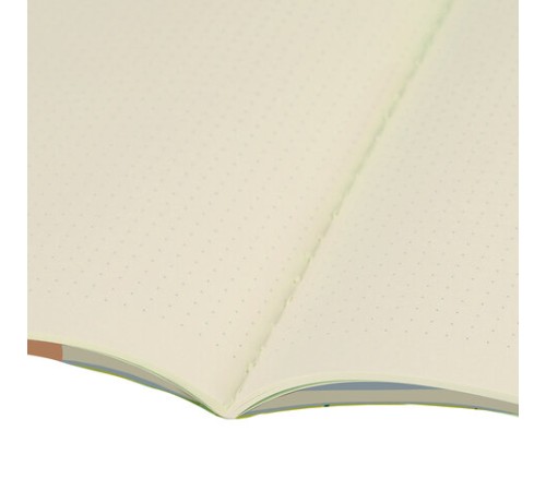 Тетрадь 40 л. в точку обложка SoftTouch, бежевая бумага 70 г/м2, сшивка, А5 (147х210 мм), БЛАЖЕНСТВО, BRAUBERG, 403800