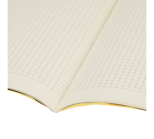 Тетрадь 60 л. в клетку обложка SoftTouch, бежевая бумага 70 г/м2, сшивка, В5 (179х250 мм), FOXY, BRAUBERG, 403815