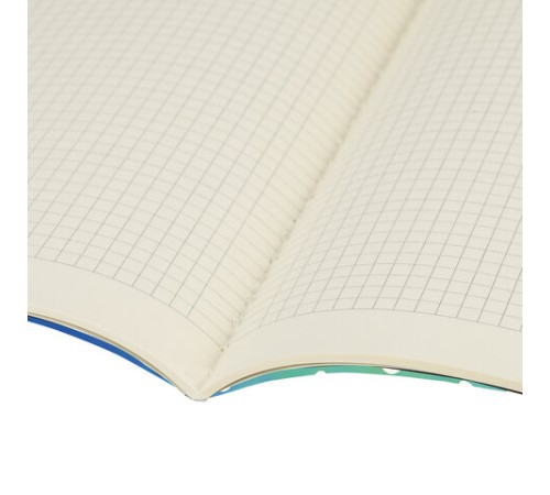Тетрадь 60 л. в клетку обложка SoftTouch, бежевая бумага 70 г/м2, сшивка, В5 (179х250 мм), НЕДОТРОГА, BRAUBERG, 1403817