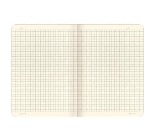 Тетради 60 л. в клетку обложка SoftTouch, НАБОР 2 шт., бежевая бумага 70 г/м2, сшивка, B5 (179х250 мм), FANTASY, BRAUBERG, 403820