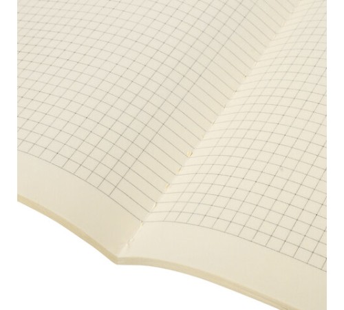 Тетради 60 л. в клетку обложка SoftTouch, НАБОР 2 шт., бежевая бумага 70 г/м2, сшивка, B5 (179х250 мм), FANTASY, BRAUBERG, 403820