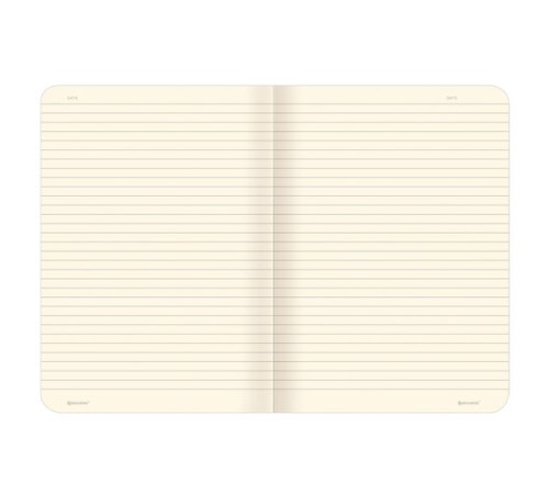 Тетради 60 л. в линию обложка SoftTouch, НАБОР 2 шт., бежевая бумага 70 г/м2, сшивка, B5 (179х250 мм), КОНТРАСТ, BRAUBERG, 403826