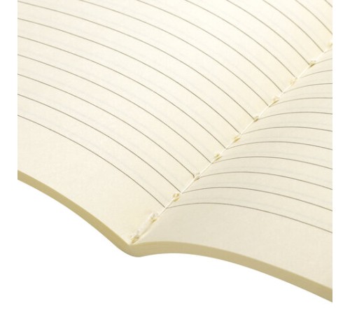 Тетради 60 л. в линию обложка SoftTouch, НАБОР 2 шт., бежевая бумага 70 г/м2, сшивка, B5 (179х250 мм), КОНТРАСТ, BRAUBERG, 403826