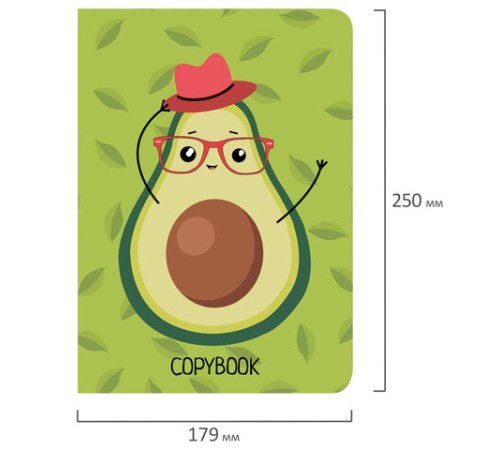 Тетради 60 л. в линию обложка SoftTouch, НАБОР 2 шт., бежевая бумага 70 г/м2, сшивка, B5 (179х250 мм), КОНТРАСТ, BRAUBERG, 403826