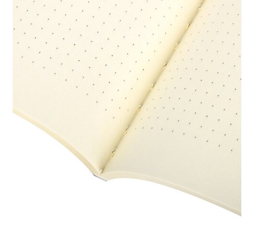 Тетради 60 л. в точку обложка SoftTouch, НАБОР 2 шт., бежевая бумага 70 г/м2, сшивка, B5 (179х250 мм), NIGHT/DAY, BRAUBERG, 403830