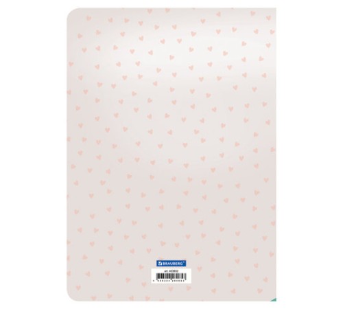 Тетради-скетчбуки 60 л. обложка SoftTouch, НАБОР 2 шт., бежевая бумага 70 г/м2, сшивка, B5 (179х250 мм), ROMANTIC, BRAUBERG, 403832