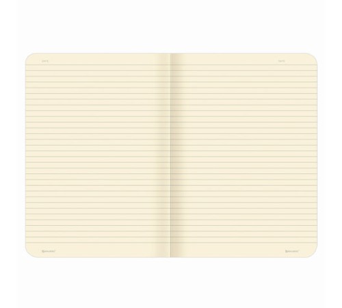 Тетрадь 60 л. в линию обложка кожзам SoftTouch, сшивка, B5 (179х250мм), РОЗОВЫЙ, BRAUBERG RAINBOW, 403885