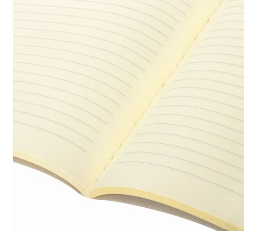 Тетрадь 60 л. в линию обложка кожзам SoftTouch, сшивка, B5 (179х250мм), РОЗОВЫЙ, BRAUBERG RAINBOW, 403885