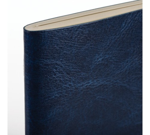 Тетрадь 60 л. в клетку обложка гладкий кожзам, сшивка, А4 (210х297мм), ТЕМНО-СИНИЙ, BRAUBERG VIVA, 403906