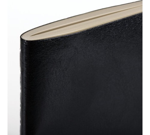 Тетрадь 60 л. в клетку обложка гладкий кожзам, сшивка, А4 (210х297мм), ЧЕРНЫЙ, BRAUBERG VIVA, 403907