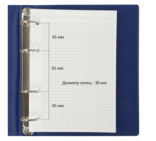 Тетрадь на кольцах А5 (180х220 мм), 80 листов, обложка ПВХ, клетка, BRAUBERG, синий, 403913