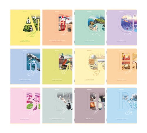 Тетради предметные, КОМПЛЕКТ 12 ПРЕДМЕТОВ, 48 листов, обложка картон, BRAUBERG, 