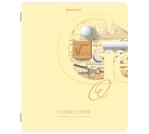 Тетради предметные, КОМПЛЕКТ 12 ПРЕДМЕТОВ, 48 листов, обложка картон, BRAUBERG, 