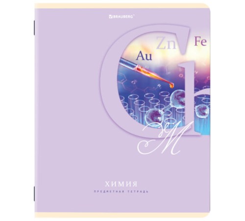 Тетради предметные, КОМПЛЕКТ 12 ПРЕДМЕТОВ, 48 листов, обложка картон, BRAUBERG, 
