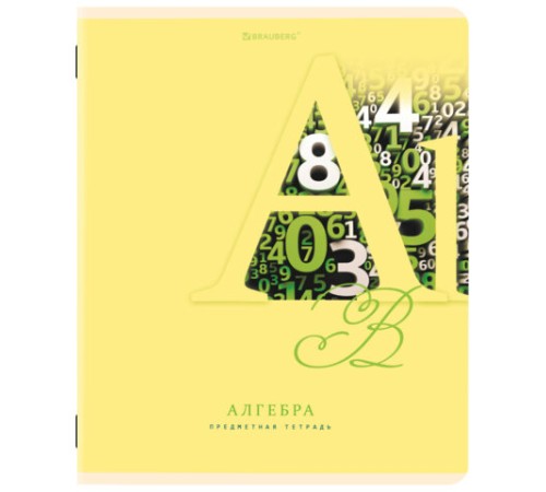 Тетради предметные, КОМПЛЕКТ 12 ПРЕДМЕТОВ, 48 листов, обложка картон, BRAUBERG, 