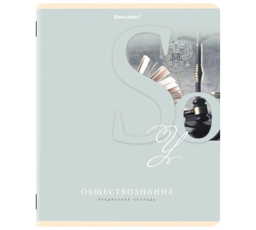 Тетради предметные, КОМПЛЕКТ 12 ПРЕДМЕТОВ, 48 листов, обложка картон, BRAUBERG, 
