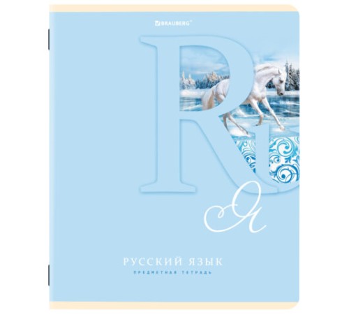 Тетради предметные, КОМПЛЕКТ 12 ПРЕДМЕТОВ, 48 листов, обложка картон, BRAUBERG, 