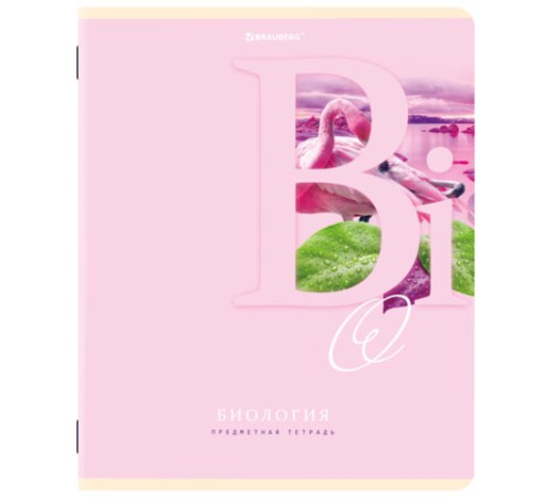 Тетради предметные, КОМПЛЕКТ 12 ПРЕДМЕТОВ, 48 листов, обложка картон, BRAUBERG, 