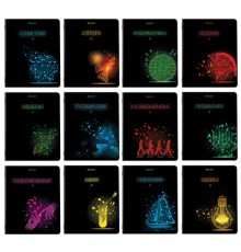 Тетради предметные, КОМПЛЕКТ 12 ПРЕДМЕТОВ, 48 листов, глянцевый УФ-лак, BRAUBERG, 