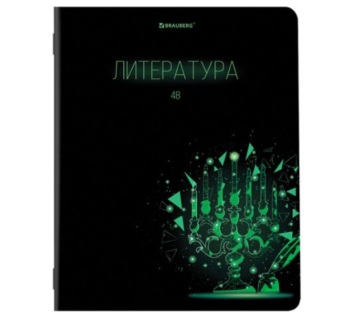 Тетради предметные, КОМПЛЕКТ 12 ПРЕДМЕТОВ, 48 листов, глянцевый УФ-лак, BRAUBERG, 