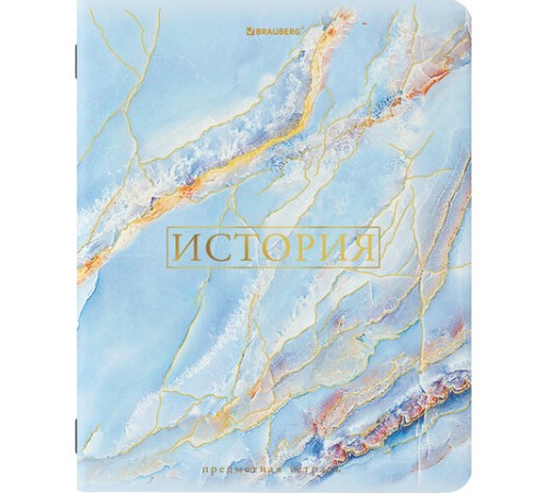 Тетради предметные со справочным материалом, КОМПЛЕКТ 10 ПРЕДМЕТОВ, 48 л., SoftTouch, фольга, BRAUBERG, 