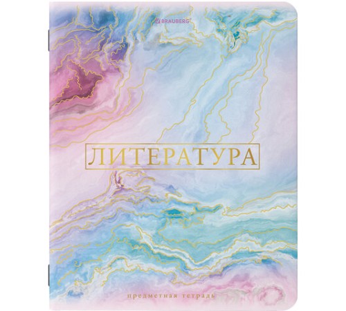 Тетради предметные со справочным материалом, КОМПЛЕКТ 10 ПРЕДМЕТОВ, 48 л., SoftTouch, фольга, BRAUBERG, 