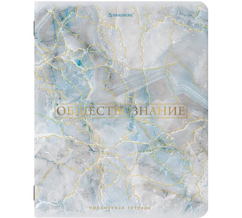Тетради предметные со справочным материалом, КОМПЛЕКТ 10 ПРЕДМЕТОВ, 48 л., SoftTouch, фольга, BRAUBERG, 