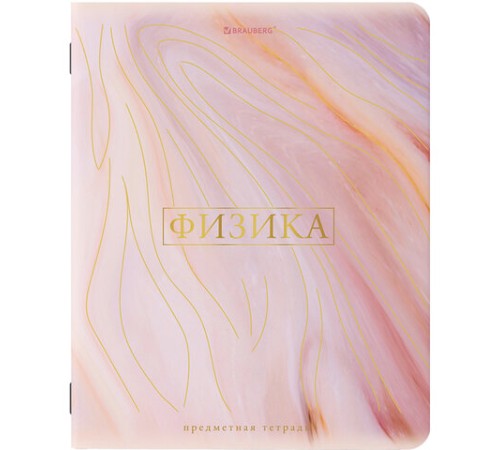Тетради предметные со справочным материалом, КОМПЛЕКТ 10 ПРЕДМЕТОВ, 48 л., SoftTouch, фольга, BRAUBERG, 