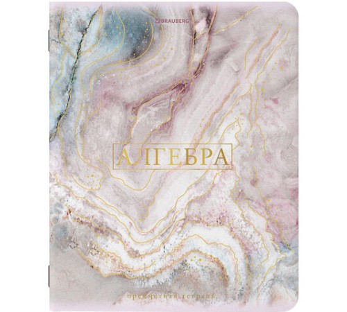 Тетради предметные со справочным материалом, КОМПЛЕКТ 10 ПРЕДМЕТОВ, 48 л., SoftTouch, фольга, BRAUBERG, 