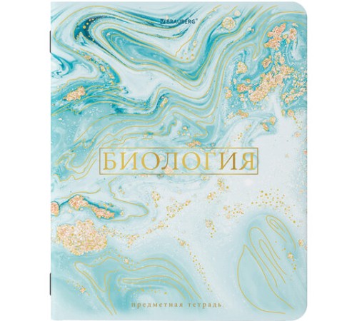 Тетради предметные со справочным материалом, КОМПЛЕКТ 10 ПРЕДМЕТОВ, 48 л., SoftTouch, фольга, BRAUBERG, 