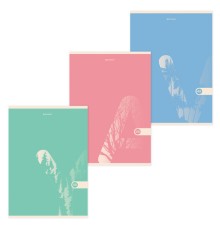 Тетрадь А4, 48 л., BRAUBERG, скоба, клетка, обложка картон, 