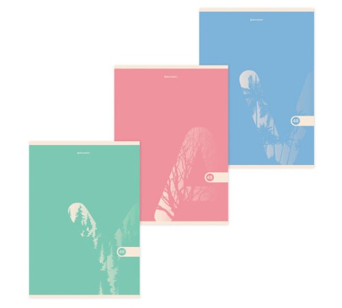 Тетрадь А4, 48 л., BRAUBERG, скоба, клетка, обложка картон, 