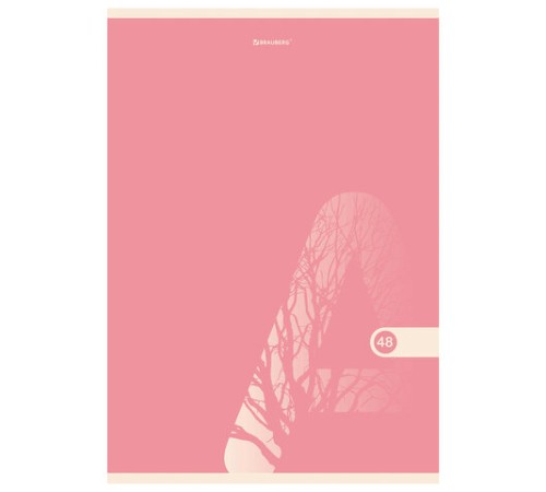 Тетрадь А4, 48 л., BRAUBERG, скоба, клетка, обложка картон, 