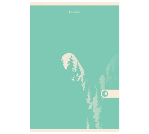 Тетрадь А4, 48 л., BRAUBERG, скоба, клетка, обложка картон, 