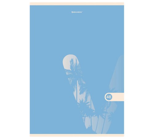 Тетрадь А4, 48 л., BRAUBERG, скоба, клетка, обложка картон, 