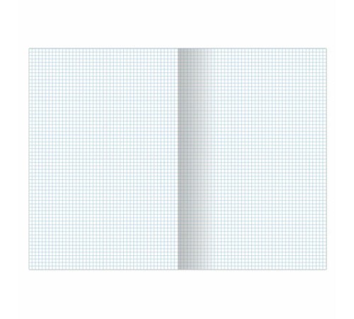 Тетрадь А4, 60 л., BRAUBERG, скоба, клетка, обложка картон, 