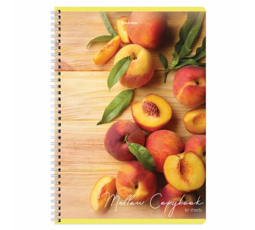 Тетрадь А4, 80 л., BRAUBERG, гребень, клетка, обложка картон, 