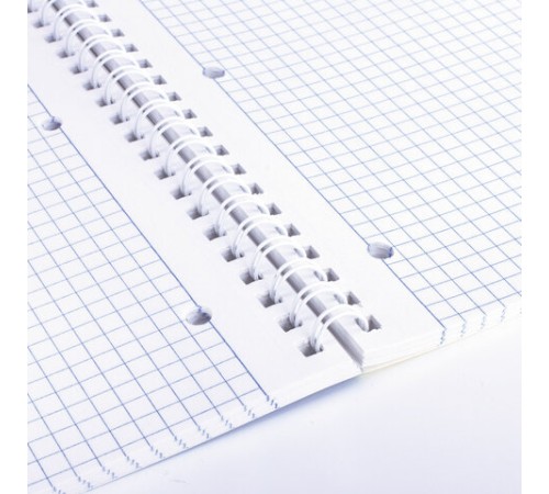 Тетрадь А4, 80 л., BRAUBERG, гребень, клетка, обложка картон, 