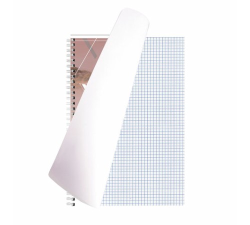 Тетрадь А4, 80 л., BRAUBERG, гребень, клетка, глянцевый лак, WILD, 404052