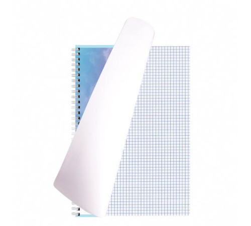 Тетрадь А4, 80 л., BRAUBERG, гребень, клетка, глянцевый лак, 