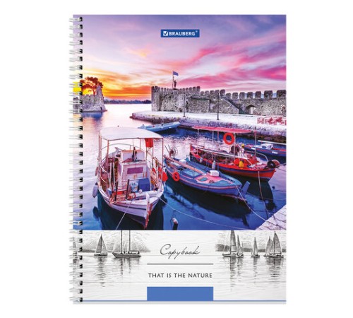 Тетрадь А4, 80 л., BRAUBERG, гребень, клетка, обложка твердая, 