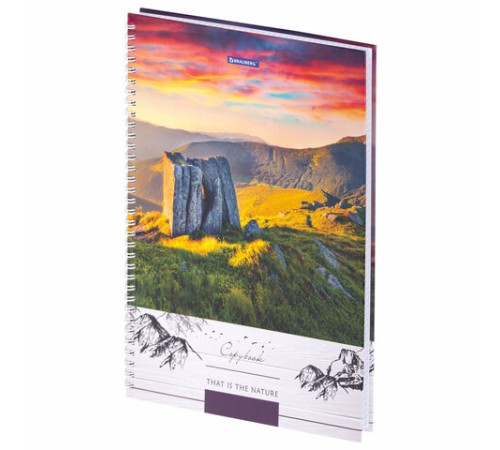 Тетрадь А4, 80 л., BRAUBERG, гребень, клетка, обложка твердая, 