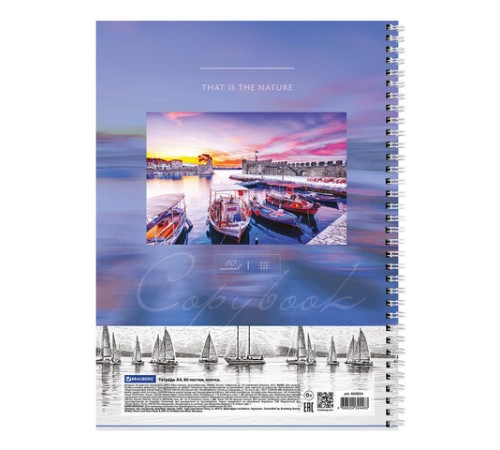 Тетрадь А4, 80 л., BRAUBERG, гребень, клетка, обложка твердая, 