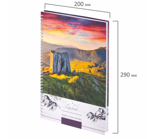 Тетрадь А4, 80 л., BRAUBERG, гребень, клетка, обложка твердая, 